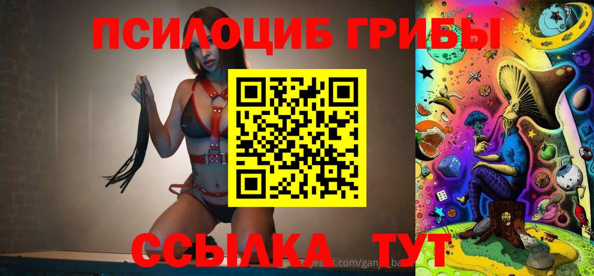 Галлюциногенные грибы прущие грибы  Галлюциногенные грибы Psilocybine cubensis  Кизляр  Вход с VPN 