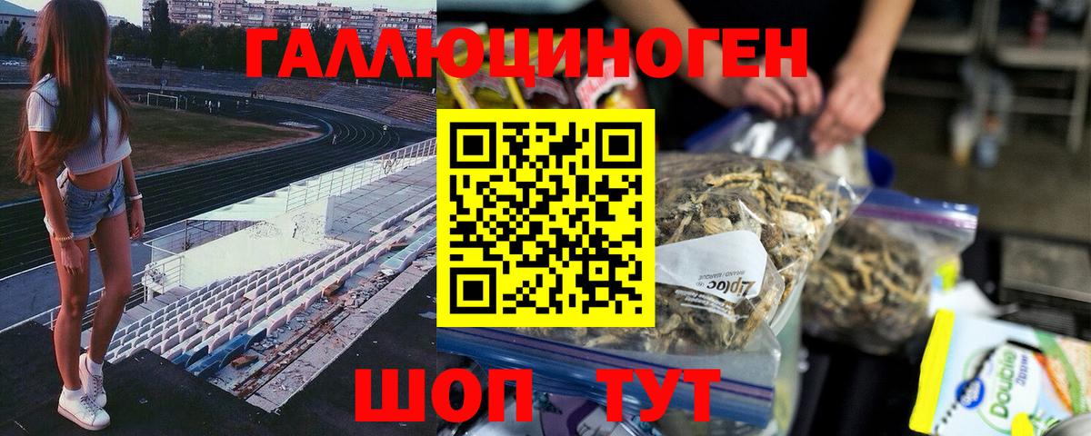 Галлюциногенные грибы Cubensis Кизляр