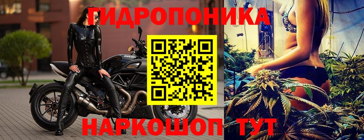 Марихуана White Widow Кизляр